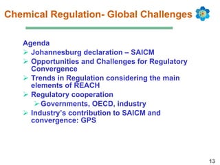 Chemical Regulation- Global Challenges Agenda Johannesburg declaration – SAICM Opportunities and Challenges for Regulatory Convergence Trends in Regulation considering the main elements of REACH Regulatory cooperation Governments, OECD, industry Industry’s contribution to SAICM and convergence: GPS 