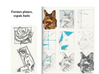 Formes planes,
espais buits
 