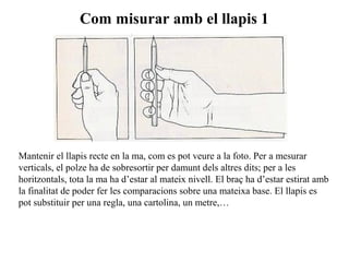 Com misurar amb el llapis 1
Mantenir el llapis recte en la ma, com es pot veure a la foto. Per a mesurar
verticals, el polze ha de sobresortir per damunt dels altres dits; per a les
horitzontals, tota la ma ha d’estar al mateix nivell. El braç ha d’estar estirat amb
la finalitat de poder fer les comparacions sobre una mateixa base. El llapis es
pot substituir per una regla, una cartolina, un metre,…
 