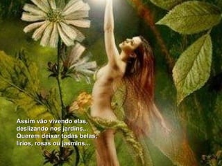 Assim vão vivendo elas, deslizando nos jardins... Querem deixar todas belas; lírios, rosas ou jasmins... 
