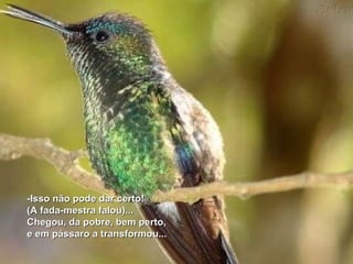 -Isso não pode dar certo! (A fada-mestra falou)... Chegou, da pobre, bem perto, e em pássaro a transformou... 