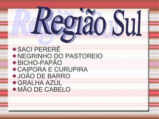 SACI PERERÊ NEGRINHO DO PASTOREIO BICHO-PAPÃO CAIPORA E CURUPIRA JOÃO DE BARRO GRALHA AZUL MÃO DE CABELO Região Sul 