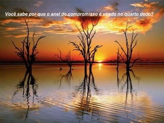 Você sabe por que o anel de compromisso é usado no quarto dedo?   