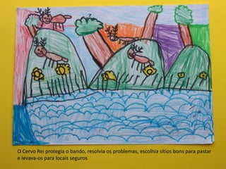 O Cervo Rei protegia o bando, resolvia os problemas, escolhia sítios bons para pastar
e levava-os para locais seguros
 