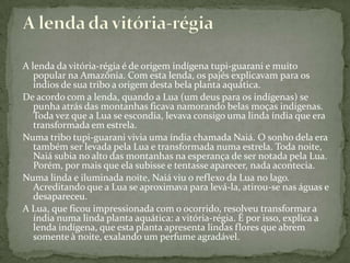 A lenda da vitória-régia é de origem indígena tupi-guarani e muito
popular na Amazônia. Com esta lenda, os pajés explicavam para os
índios de sua tribo a origem desta bela planta aquática.
De acordo com a lenda, quando a Lua (um deus para os indígenas) se
punha atrás das montanhas ficava namorando belas moças indígenas.
Toda vez que a Lua se escondia, levava consigo uma linda índia que era
transformada em estrela.
Numa tribo tupi-guarani vivia uma índia chamada Naiá. O sonho dela era
também ser levada pela Lua e transformada numa estrela. Toda noite,
Naiá subia no alto das montanhas na esperança de ser notada pela Lua.
Porém, por mais que ela subisse e tentasse aparecer, nada acontecia.
Numa linda e iluminada noite, Naiá viu o reflexo da Lua no lago.
Acreditando que a Lua se aproximava para levá-la, atirou-se nas águas e
desapareceu.
A Lua, que ficou impressionada com o ocorrido, resolveu transformar a
índia numa linda planta aquática: a vitória-régia. É por isso, explica a
lenda indígena, que esta planta apresenta lindas flores que abrem
somente à noite, exalando um perfume agradável.
 