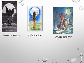 MATINTA PERERA VITÓRIA RÉGIA
COBRA NORATO
 