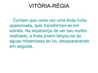 VITÓRIA-RÉGIA
Contam que certa vez uma linda índia,
apaixonada, quis transformar-se em
estrela. Na esperança de ver seu sonho
realizado, a linda jovem lançou-se às
águas misteriosas do rio, desaparecendo
em seguida.
 