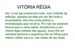 VITÓRIA RÉGIA
Iaci, a lua que presenciou tudo, num instante de
reflexão, apiedou-se dela por ser tão linda e
encantadora. Deu-lhe como prêmio a
imortalização aqui na terra. Por não ser possível
levá-la para o reino astral, transformou-a em
vitória-régia (estrela das águas), doou-lhe um
adorável perfume e espalmou-lhe as folhas para
melhor refletir sua luz, nas noites de lua cheia.
 