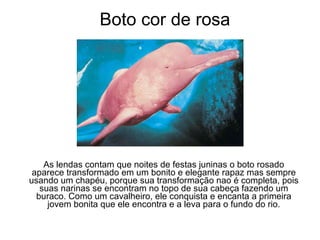 Boto cor de rosa As lendas contam que noites de festas juninas o boto rosado aparece transformado em um bonito e elegante rapaz mas sempre usando um chapéu, porque sua transformação nao é completa, pois suas narinas se encontram no topo de sua cabeça fazendo um buraco. Como um cavalheiro, ele conquista e encanta a primeira jovem bonita que ele encontra e a leva para o fundo do rio. 