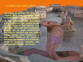 A COBRA DA FONTE BIEITA No lugar de Pintán ( A Gándara) tódolos anos pola primavera vese na fonte Bieita unha cobra xigante. A súa existencia era apreciada polos regueiros que, restos de pel do seu corpo e dos animais que apresaba. Por todo isto Fontebieita sempre foi un lugar medoñento. Din algúns veciños que sae polas noites dunha cova misteriosa e que mata como o tío Xosé o zapateiro ou Casiano que estiveron anos e anos a espreita sen conseguiren rematar coa lenda. 