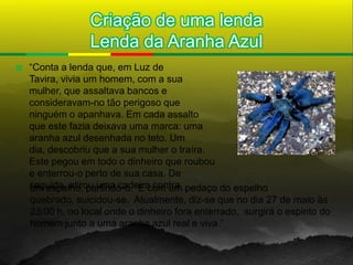 Criação de uma lenda
                  Lenda da Aranha Azul
   “Conta a lenda que, em Luz de
    Tavira, vivia um homem, com a sua
    mulher, que assaltava bancos e
    consideravam-no tão perigoso que
    ninguém o apanhava. Em cada assalto
    que este fazia deixava uma marca: uma
    aranha azul desenhada no teto. Um
    dia, descobriu que a sua mulher o traíra.
    Este pegou em todo o dinheiro que roubou
    e enterrou-o perto de sua casa. De
    seguida, atirou uma cadeira contra pedaço do espelho
    um espelho, partindo-o. E com um
    quebrado, suicidou-se. Atualmente, diz-se que no dia 27 de maio às
    23:00 h, no local onde o dinheiro fora enterrado, surgirá o espirito do
    homem junto a uma aranha azul real e viva.”
 