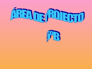 ÁREA DE PROJECTO 5ºB 