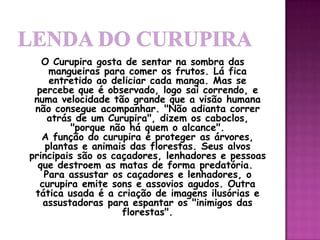 O Curupira gosta de sentar na sombra das
mangueiras para comer os frutos. Lá fica
entretido ao deliciar cada manga. Mas se
percebe que é observado, logo sai correndo, e
numa velocidade tão grande que a visão humana
não consegue acompanhar. "Não adianta correr
atrás de um Curupira", dizem os caboclos,
"porque não há quem o alcance".
A função do curupira é proteger as árvores,
plantas e animais das florestas. Seus alvos
principais são os caçadores, lenhadores e pessoas
que destroem as matas de forma predatória.
Para assustar os caçadores e lenhadores, o
curupira emite sons e assovios agudos. Outra
tática usada é a criação de imagens ilusórias e
assustadoras para espantar os "inimigos das
florestas".
 