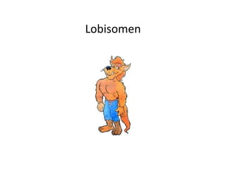 Lobisomen
 