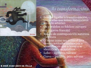 As transformacións Lendas ligadas a transformación, inspiradas nos temas romanescos do ciclo artúrico Os paralelos co folclore europeo  (loup – garou francés) Relato de contraposición natureza – cultura O home como ser cultural leva dentro actitudes antisociais e anticulturais que o levan a se identificar coa natureza Lobo – agresivo, salvaxe Cervo – pacífico, pero salvaxe 