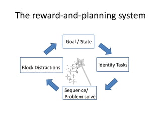 The reward-and-planning system
Goal / State
Identify Tasks
Sequence/
Problem solve
Block Distractions
 