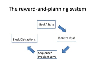 The reward-and-planning system
Goal / State
Identify Tasks
Sequence/
Problem solve
Block Distractions
 