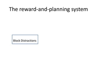 The reward-and-planning system
Block Distractions
 