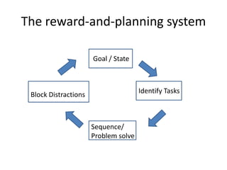 The reward-and-planning system
Goal / State
Identify Tasks
Sequence/
Problem solve
Block Distractions
 
