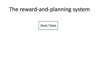The reward-and-planning system
Goal / State
 