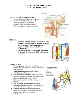 LE NERF GLOSSO-PHARYNGIEN
LE NERF HYPOGLOSSE
LE NERF GLOSSO-PHARYNGIEN (IX)
• C’est la neuvième paire des nerfs crâniens.
• Il renferme des fibres afférentes de la
langue et du pharynx et des fibres
efférentes qui se distribue au muscles
stylo-pharyngien et à la glande parotide.
ORIGINE :
– Il naît de la moelle allongée , ce nerf passe dans
le tubercule jugulaire de l’os occipital , traverse
le trou jugulaire et présente 2 ganglions
supérieur (d’Ehrenritter) et inférieur
(d’Andersch).
– Il s’insinue entre la VJI et l’ACI et descend en
profondeur du processus styloïde et les muscles
styloïdiens.
LES BRANCHES
• Nerf tympanique ( de Jacobson): destiné à la
glande parotide contenant des fibres secrétoires et
vasodilatatrices.
• Branche communicante pour la branche
auriculaire du nerf vague.
• Rameau du sinus carotidien innervant le sinus
carotidien qui reçoit également des rameaux de la
chaine sympathique et du nerf vague.
• Rameaux pharyngés: destinés à la muqueuse du
pharynx.
• Nerf du muscle stylo-pharyngien (moteur).
• Rameaux tonsillaires destinés à la muqueuse de
la tonsille et du voile du palais
• Branches linguales qui ramènent les fibres
gustatives et sensitives au tiers postérieur de la
langue et aux papilles circumvallées
(caliciformes).
 