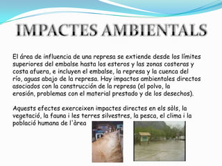 IMPACTES AMBIENTALSEl área de influencia de una represa se extiende desde los límites superiores del embalse hasta los esteros y las zonas costeras y costa afuera, e incluyen el embalse, la represa y la cuenca del río, aguas abajo de la represa. Hay impactos ambientales directos asociados con la construcción de la represa (el polvo, la erosión, problemas con el material prestado y de los desechos).Aquestsefectesexerceixen impactes directes en elssòls, la vegetació, la fauna i les terres silvestres, la pesca, el clima i la població humana de l'àrea