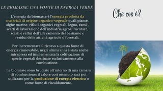 LE BIOMASSE: UNA FONTE DI ENERGIA VERDE
Che cos'è?
L’energia da biomasse è l’energia prodotta da
materiali di origine organico-vegetale quali piante,
alghe marine, rifiuti organici vegetali, legno, rami ,
scarti di lavorazione dell’industria agroalimentare,
scarti e reflui dell’allevamento del bestiame e
residui delle attività agricole o forestali.


Per incrementare il ricorso a questa fonte di
energia rinnovabile, negli ultimi anni è stata anche
intrapresa ed implementata la coltivazione di
specie vegetali destinate esclusivamente alla
combustione.
Le biomasse sono bruciate all’interno di una camera
di combustione: il calore così ottenuto sarà poi
utilizzato per la produzione di energia elettrica o
come fonte di riscaldamento.
 