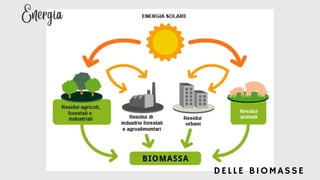 Energia
DELLE BIOMASSE
 