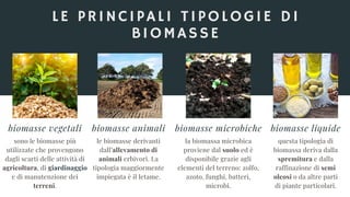 LE PRINCIPALI TIPOLOGIE DI
BIOMASSE
biomasse vegetali
sono le biomasse più
utilizzate che provengono
dagli scarti delle attività di
agricoltura, di giardinaggio
e di manutenzione dei
terreni.
biomasse animali
le biomasse derivanti
dall’allevamento di
animali erbivori. La
tipologia maggiormente
impiegata è il letame.
biomasse microbiche
la biomassa microbica
proviene dal suolo ed è
disponibile grazie agli
elementi del terreno: zolfo,
azoto, funghi, batteri,
microbi.
biomasse liquide
questa tipologia di
biomassa deriva dalla
spremitura e dalla
raffinazione di semi
oleosi o da altre parti
di piante particolari.
 