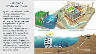 Energia a
gradiente salino
Quella che è chiamata anche
energia osmotica, viene
raccolta attraverso la
differenza di concentrazione
del sale tra l’acqua marina e
l’acqua dolce. In pratica,
tramite la presenza
ravvicinata di acqua salata e
acqua dolce, si assiste a un
passaggio delle molecole di
acqua dolce verso l’acqua
salata e lo spostamento di
acqua è in grado di generare
energia. L’energia a gradiente
salino può essere raccolta in
natura principalmente presso
le foci dei fiumi.
 
