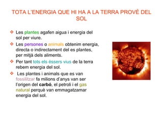 TOTA L’ENERGIA QUE HI HA A LA TERRA PROVÉ DEL SOL Les  plantes  agafen aigua i energia del sol per viure. Les  persones  o  animals  obtenim energia, directa o indirectament del es plantes, per mitjà dels aliments. Per tant  tots els éssers vius  de la terra rebem energia del sol. Les plantes i animals que es van  fossilitzar  fa milions d’anys van ser l’origen del  carbó , el petroli i el  gas natural  perquè van emmagatzamar energia del sol. 