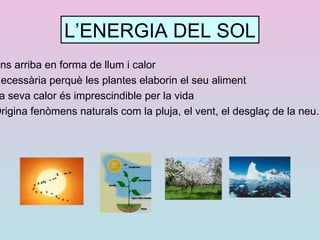 Petroli : procedeix de la transformació de restes animals i vegetals molt antics 