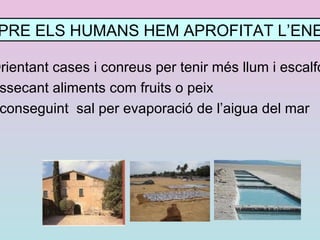 Gas natural : es va formar igual que el petroli i es troba en bosses subterrànies 