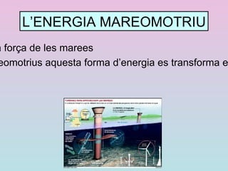 el petroli 