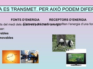 Energia lluminosa 