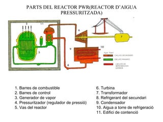 PARTS DEL REACTOR PWR(REACTOR D’AIGUA PRESSURITZADA) 1. Barres de combustible 6. Turbina 2. Barres de control 7. Transformador 3. Generador de vapor 8. Refrigerant del secundari 4. Pressuritzador (regulador de pressió) 9. Condensador 5. Vas del reactor  10. Aigua a torre de refrigeració 11. Edifici de contenció  