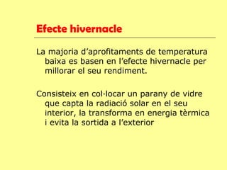 Efecte hivernacle La majoria d’aprofitaments de temperatura baixa es basen en l’efecte hivernacle per millorar el seu rendiment. Consisteix en col·locar un parany de vidre que  capta la radiació solar en el seu interior, la transforma en energia tèrmica i evita la sortida a l’exterior 