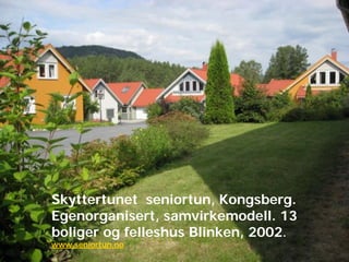 Skyttertunet seniortun, Kongsberg.
Egenorganisert, samvirkemodell. 13
boliger og felleshus Blinken, 2002.
www.seniortun.no

 