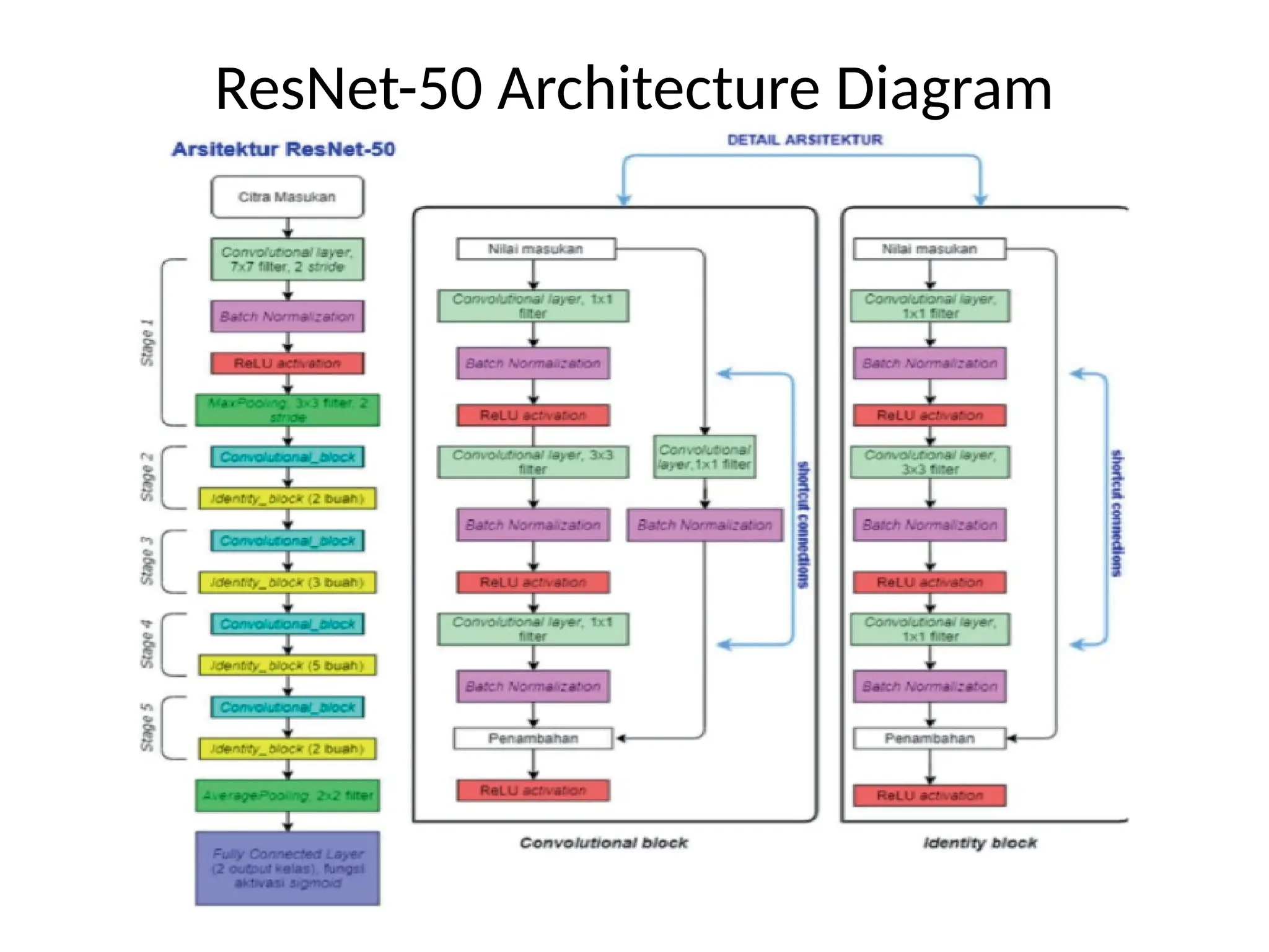 ResNet-50 Architecture Diagram
 