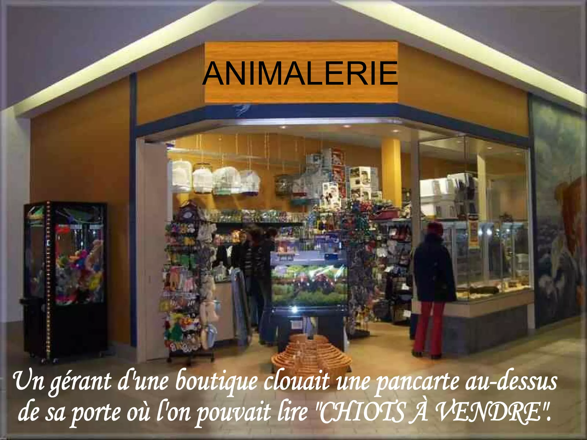 ANIMALERIE
