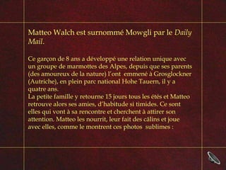 Matteo Walch est surnommé Mowgli par le Daily
Mail.
Ce garçon de 8 ans a développé une relation unique avec
un groupe de marmottes des Alpes, depuis que ses parents
(des amoureux de la nature) l’ont emmené à Grosglockner
(Autriche), en plein parc national Hohe Tauern, il y a
quatre ans.
La petite famille y retourne 15 jours tous les étés et Matteo
retrouve alors ses amies, d’habitude si timides. Ce sont
elles qui vont à sa rencontre et cherchent à attirer son
attention. Matteo les nourrit, leur fait des câlins et joue
avec elles, comme le montrent ces photos sublimes :

 