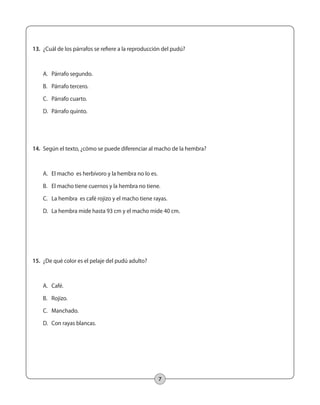 13. ¿Cuál de los párrafos se refiere a la reproducción del pudú? 
7 
A. Párrafo segundo. 
B. Párrafo tercero. 
C. Párrafo cuarto. 
D. Párrafo quinto. 
14. Según el texto, ¿cómo se puede diferenciar al macho de la hembra? 
A. El macho es herbívoro y la hembra no lo es. 
B. El macho tiene cuernos y la hembra no tiene. 
C. La hembra es café rojizo y el macho tiene rayas. 
D. La hembra mide hasta 93 cm y el macho mide 40 cm. 
15. ¿De qué color es el pelaje del pudú adulto? 
A. Café. 
B. Rojizo. 
C. Manchado. 
D. Con rayas blancas. 
 