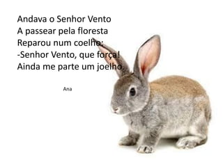 Andava o Senhor Vento
A passear pela floresta
Reparou num coelho:
-Senhor Vento, que força!
Ainda me parte um joelho.
Ana
 