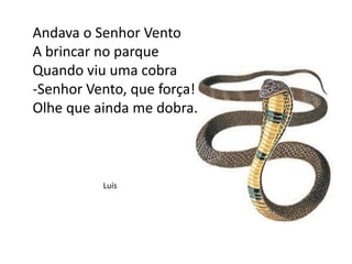 Andava o Senhor Vento
A brincar no parque
Quando viu uma cobra
-Senhor Vento, que força!
Olhe que ainda me dobra.
Luís
 