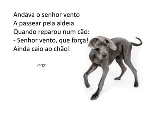 Andava o senhor vento
A passear pela aldeia
Quando reparou num cão:
- Senhor vento, que força!
Ainda caio ao chão!
Jorge
 