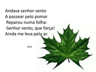 Andava senhor vento
A passear pelo pomar
Reparou numa folha:
-Senhor vento, que força!
Ainda me leva pelo ar.
Sofia
 