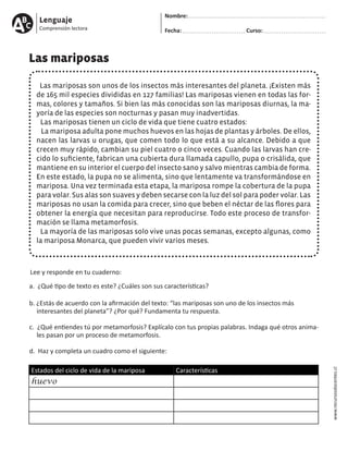 Lenguaje
Comprensión lectora
Nombre:
Fecha: Curso:
www.recursosdocentes.cl
Las mariposas
Las mariposas son unos de los insectos más interesantes del planeta. ¡Existen más
de 165 mil especies divididas en 127 familias! Las mariposas vienen en todas las for-
mas, colores y tamaños. Si bien las más conocidas son las mariposas diurnas, la ma-
yoría de las especies son nocturnas y pasan muy inadvertidas.
Las mariposas tienen un ciclo de vida que tiene cuatro estados:
La mariposa adulta pone muchos huevos en las hojas de plantas y árboles. De ellos,
nacen las larvas u orugas, que comen todo lo que está a su alcance. Debido a que
crecen muy rápido, cambian su piel cuatro o cinco veces. Cuando las larvas han cre-
cido lo suficiente, fabrican una cubierta dura llamada capullo, pupa o crisálida, que
mantiene en su interior el cuerpo del insecto sano y salvo mientras cambia de forma.
En este estado, la pupa no se alimenta, sino que lentamente va transformándose en
mariposa. Una vez terminada esta etapa, la mariposa rompe la cobertura de la pupa
para volar. Sus alas son suaves y deben secarse con la luz del sol para poder volar. Las
mariposas no usan la comida para crecer, sino que beben el néctar de las flores para
obtener la energía que necesitan para reproducirse. Todo este proceso de transfor-
mación se llama metamorfosis.
La mayoría de las mariposas solo vive unas pocas semanas, excepto algunas, como
la mariposa Monarca, que pueden vivir varios meses.
Lee y responde en tu cuaderno:
a. ¿Qué tipo de texto es este? ¿Cuáles son sus características?
b. ¿Estás de acuerdo con la afirmación del texto: “las mariposas son uno de los insectos más 	
interesantes del planeta”? ¿Por qué? Fundamenta tu respuesta.
c. ¿Qué entiendes tú por metamorfosis? Explícalo con tus propias palabras. Indaga qué otros anima-	
les pasan por un proceso de metamorfosis.
d. Haz y completa un cuadro como el siguiente:
Estados del ciclo de vida de la mariposa Características
huevo
 