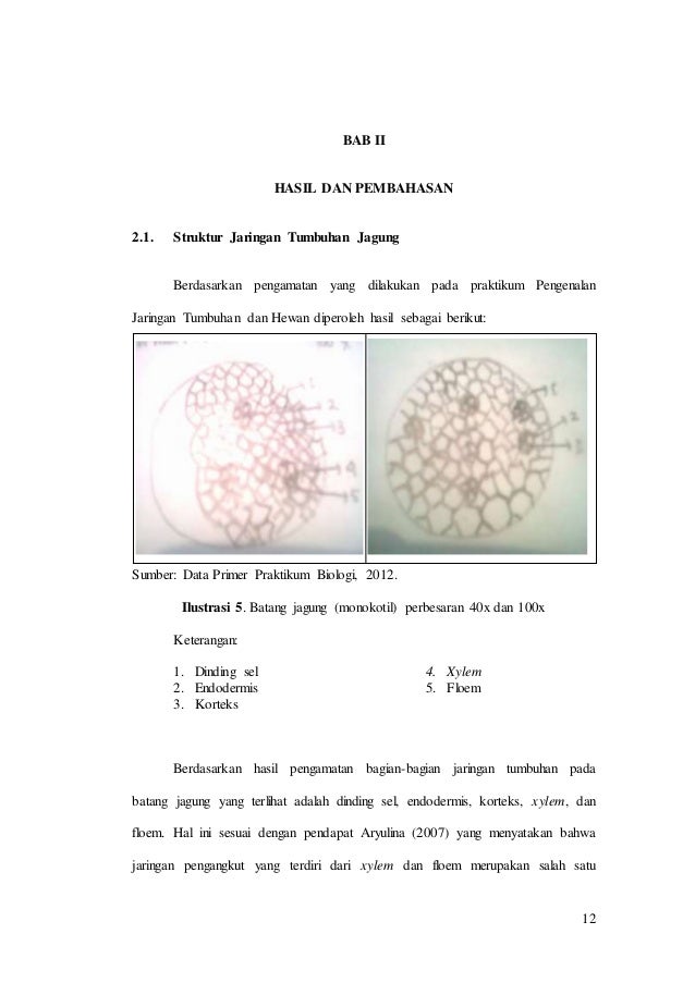 Laporan Praktikum Matakuliah Biologi Semester 1 Tahun 2012 Fpp Undip