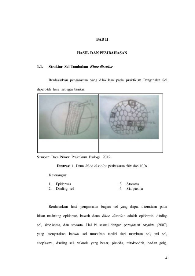 Laporan Praktikum Matakuliah Biologi Semester 1 Tahun 2012 Fpp Undip
