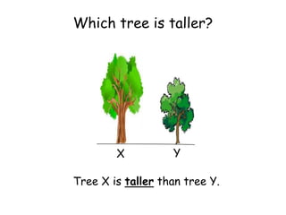 Which tree is taller?




        X          Y

Tree X is taller than tree Y.
 